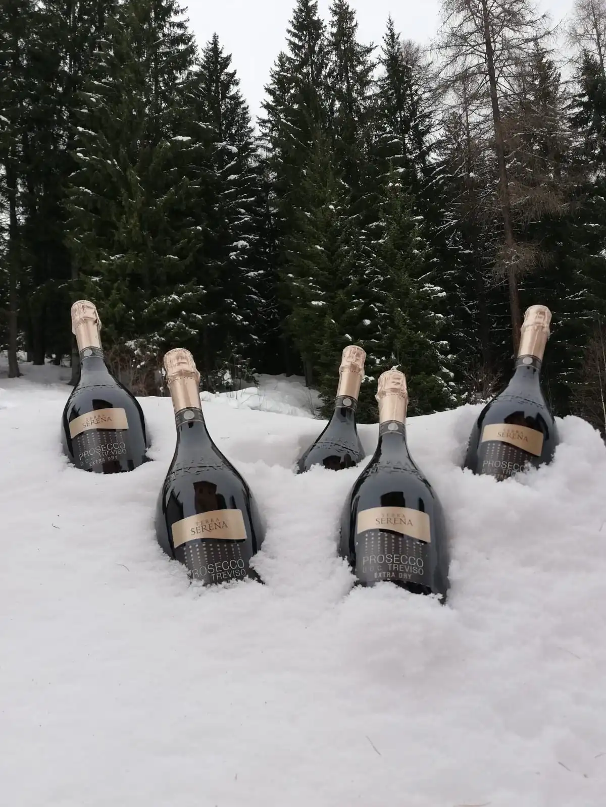 Bottiglie di spumante nella neve davanti all'hotel
