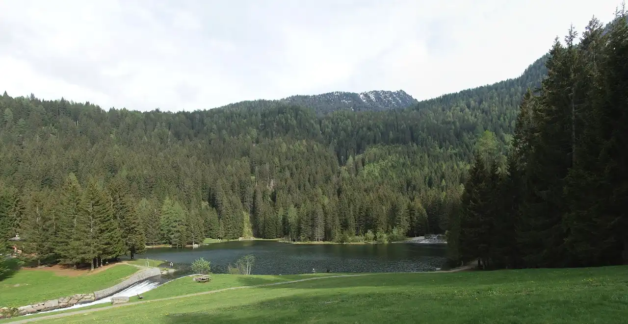 Il Lago dei Caprioli circondato dagli abeti, con il prato e il sentiero che ne fa il giro