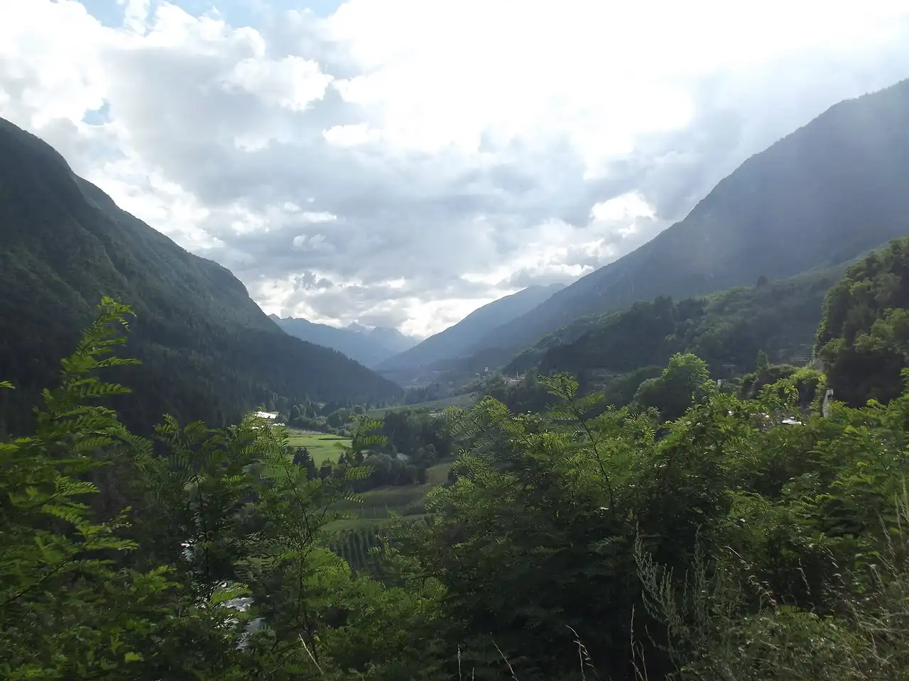 La Val di Sole vista dall'alto con i paesi sul fondovalle e i boschi sui versanti